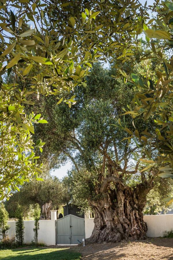 Villa Laoura Свороната Екстер'єр фото